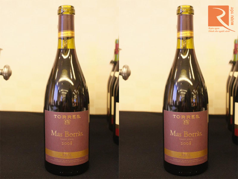 Torres Mas Borras Pinot Noir