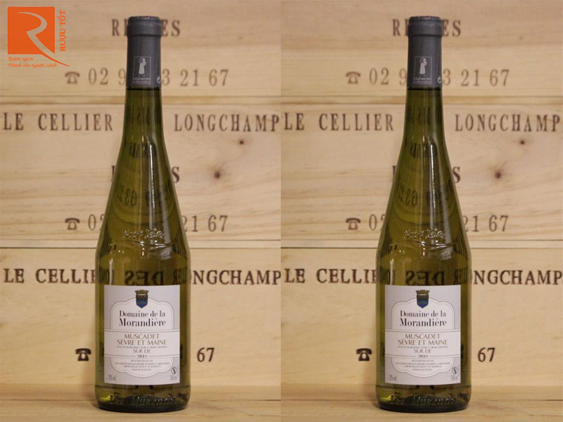 Muscadet Sevre Et Maine Sur Lie