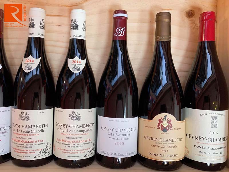 Rượu vang Gevrey Chambertin Cuvee de l’Abeille Domaine