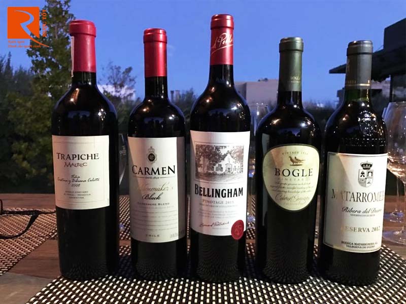 Vang Chile Carmen Winemaker's Carmenere