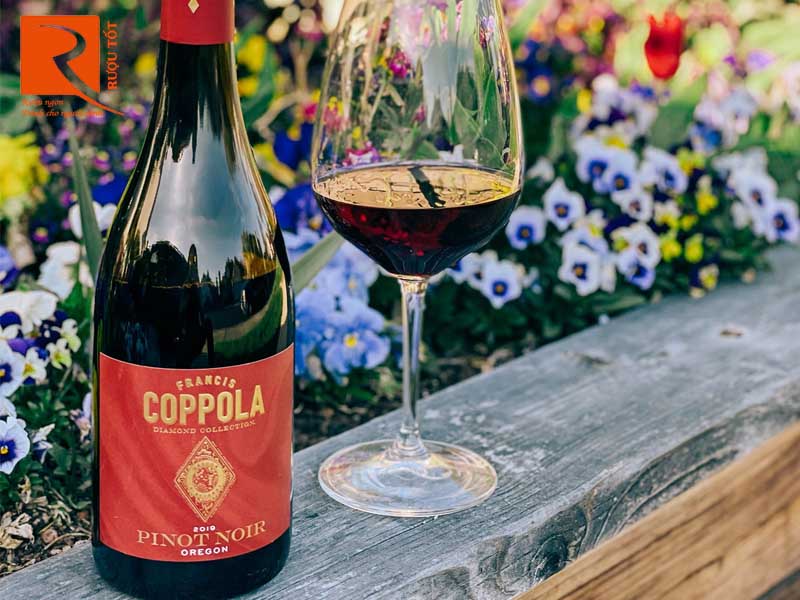 Rượu vang Coppola  Pinot Noir Oregon