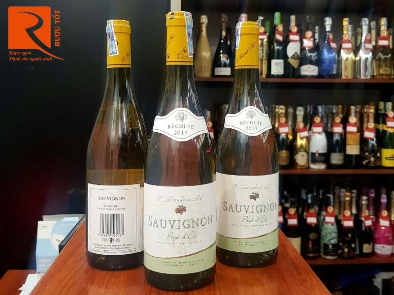 Vang trắng P. Ferraud et Fils Sauvignon Blanc