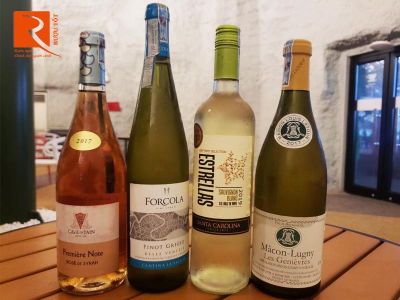 Rượu vang Ý vang Forcola Pinot Grigio Veneto Cantina La Salute