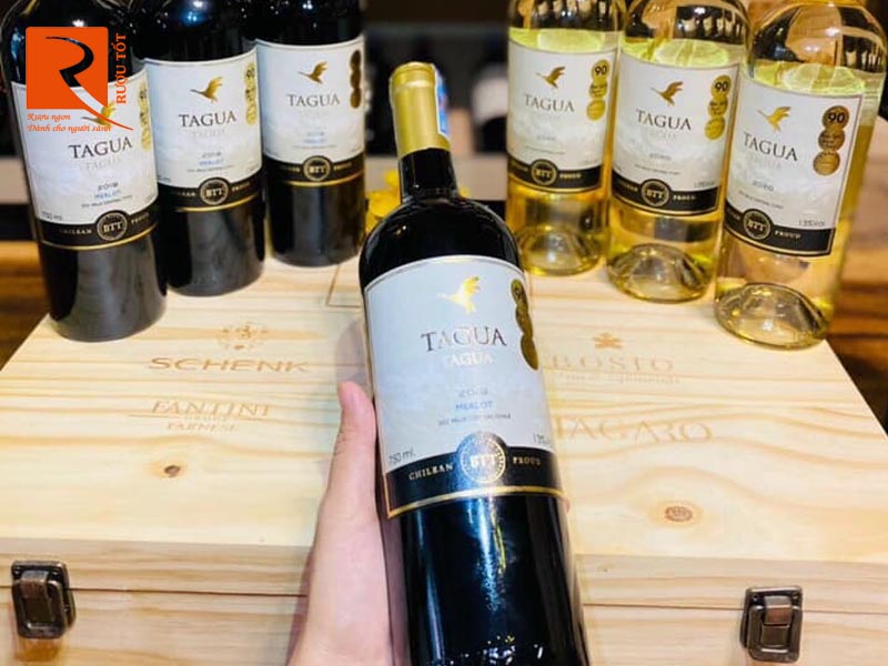 Rượu vang Chile Tagua Tagua Cabernet Sauvignon