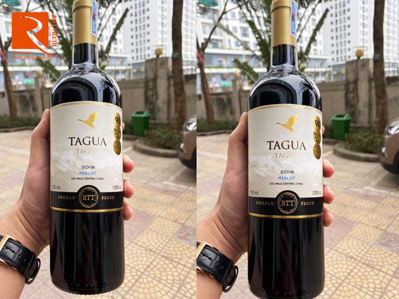 Vang Chile Tagua Tagua Merlot Central Valley 