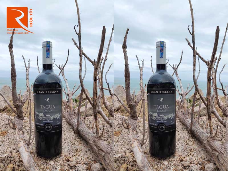 Vang Chile Tagua Tagua Gran Reserva Carmenere