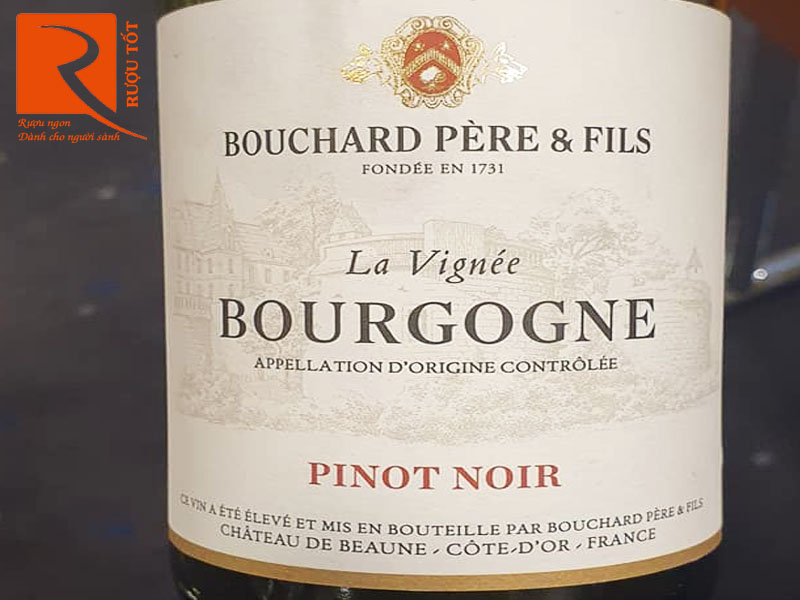 Vang Pháp Bourgogne Pinot Noir La Vignee Bouchard Pere et Fils