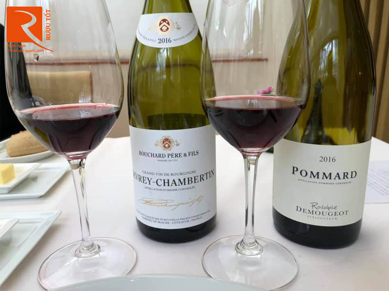 Vang Pháp Gevrey Chambertin Bouchard Pere et Fils