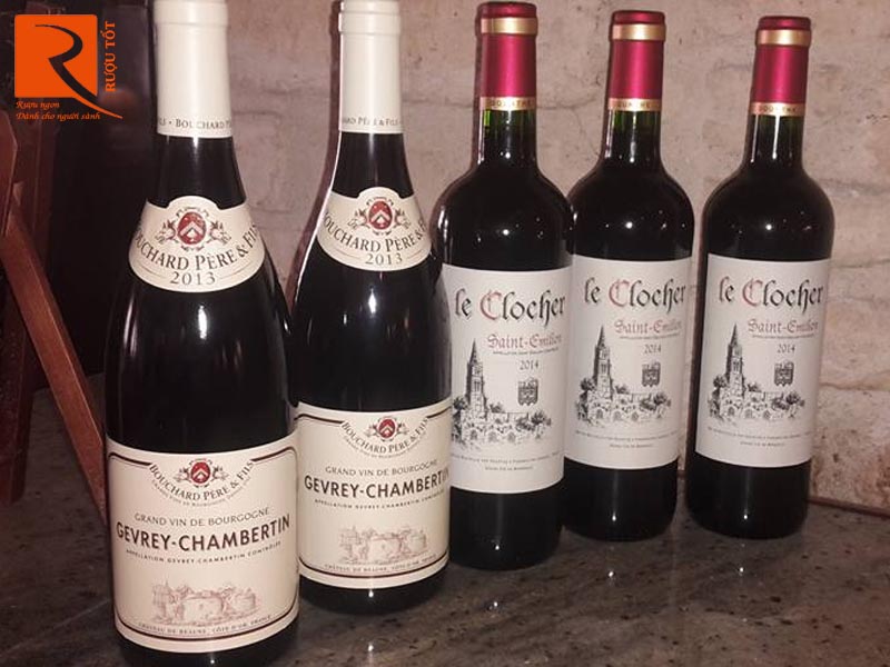 Vang Pháp Gevrey Chambertin Bouchard Pere et Fils