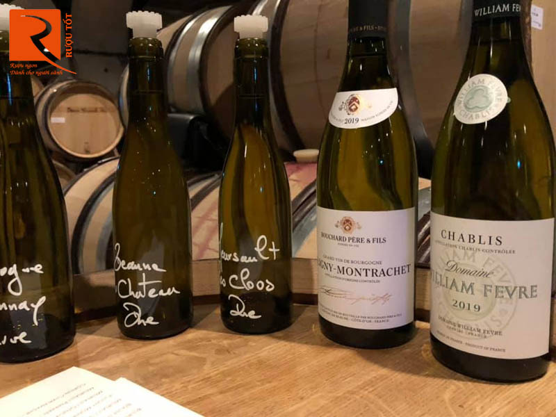 Vang Pháp Puligny Montrachet Blanc Bouchard Pere et Fils