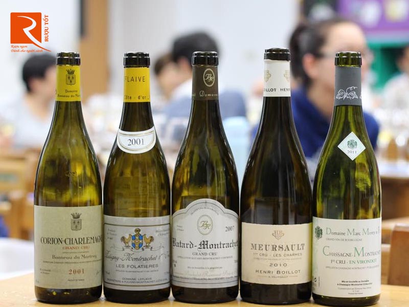 Rượu vang Pháp Batard Montrachet Grand Cru Blanc