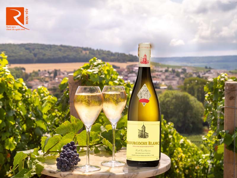 Vang Pháp Bourgogne Blanc Chateau Fuisse