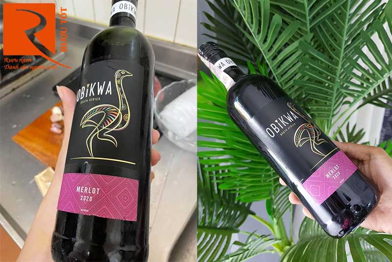 Rượu vang Obikwa Merlot