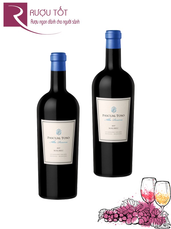 Giá sale: 630,000đ - Rượu vang Pascual Toso Alta Reserva Malbec 2009