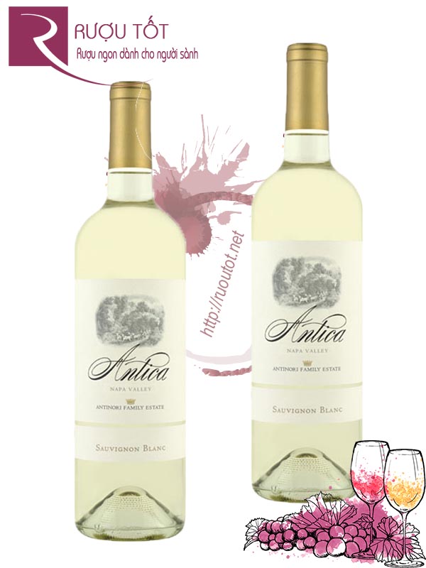 Rượu Vang Antica Antinori Sauvignon Blanc Napa Valley Cao cấp