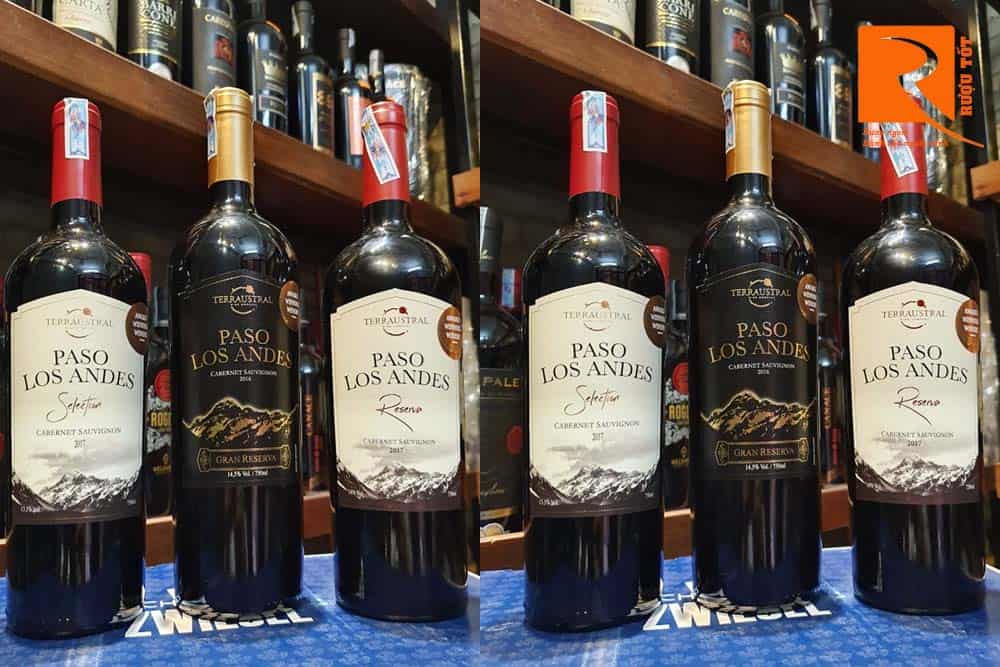 Paso Los Andes Gran Reserva