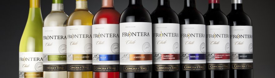 Rượu vang Chile Frontera Merlot