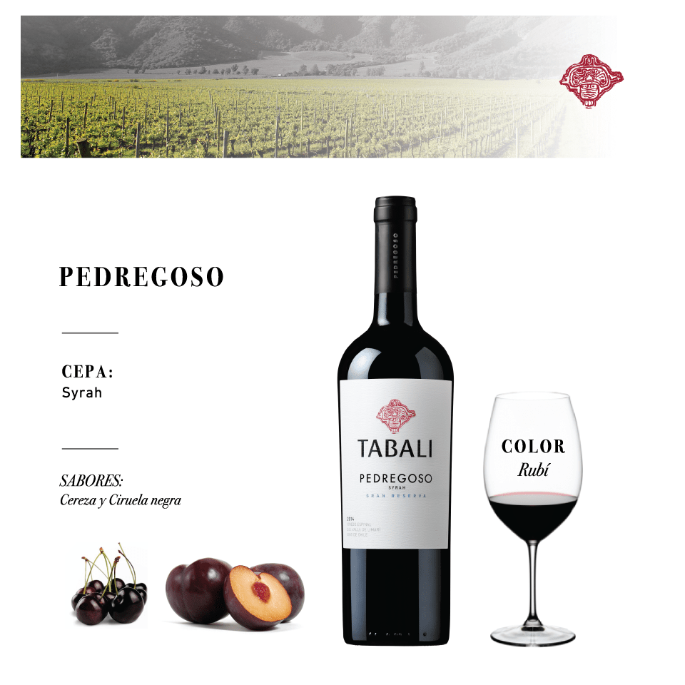 Rượu vang Tabali Pedregoso Syrah Gran Reserva