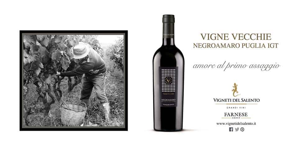 Rượu Vang Ý Vigne Vecchie Negroamaro