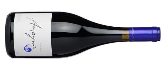 Vang Chile Amayna Pinot Noir - Syrah