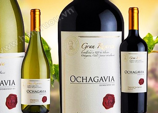 Vang Chile Ochagavia Gran Reserva (red - white)