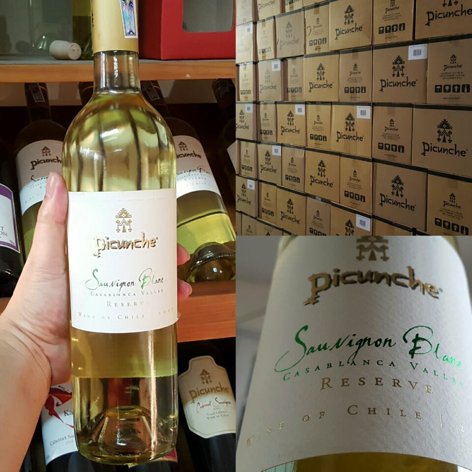 Vang Chile Picunche Sauvignon Blanc Reserve