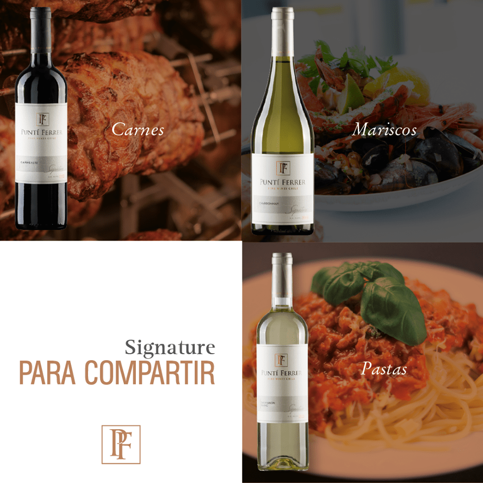 Vang Chile Punti Ferrer Classic Chardonnay