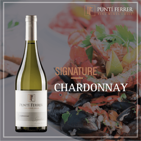 Vang Chile Punti Ferrer Classic Chardonnay