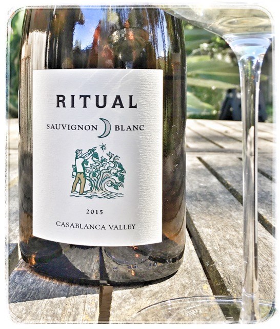 Vang Chile Ritual Sauvignon Blanc Casablanca Valley