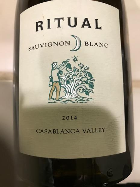 Vang Chile Ritual Sauvignon Blanc Casablanca Valley