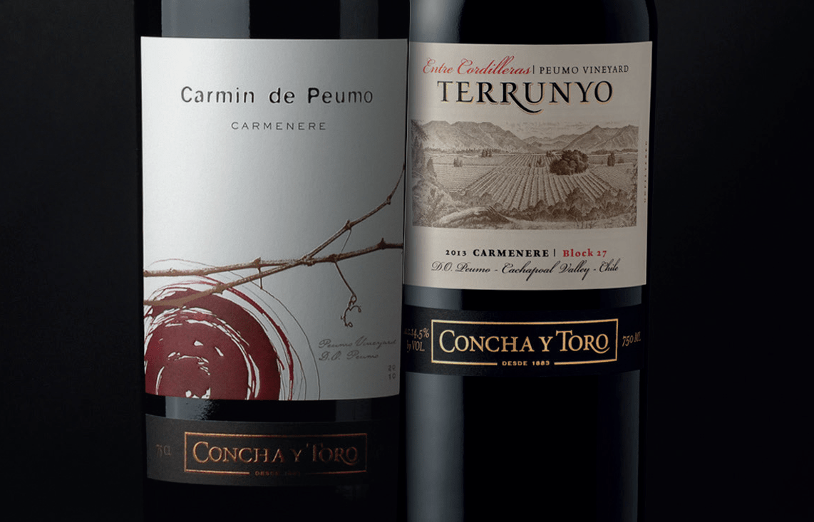 Vang Chile Terrunyo Carmenere Block 27