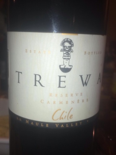 Vang Chile Trewa Reserva Carmenere