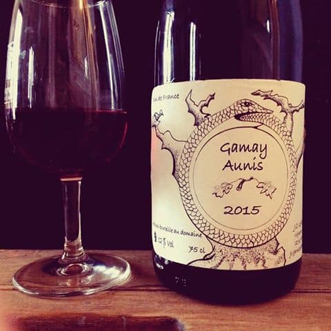 Vang Pháp Gamay Aunis Jean - Christophe Garnier